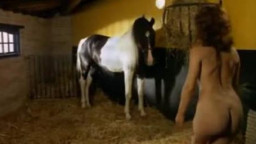 Голая шлюшка без боязни дрочит коню онлайн зоо порно видео