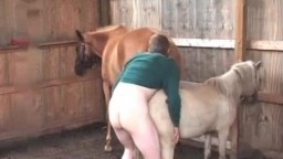 Horse zoo деревенский зоофил ебет пони с особой нежностью